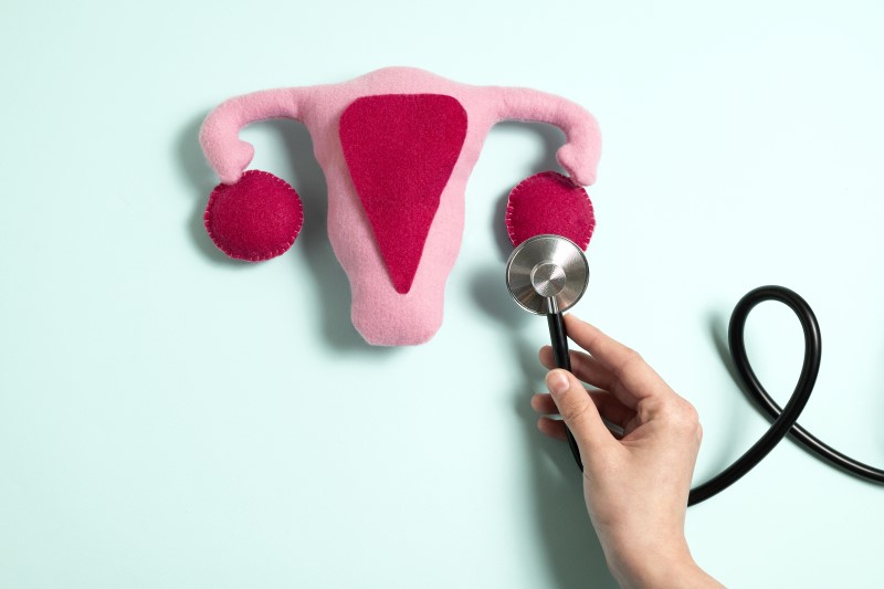 understanding-vaginal-health